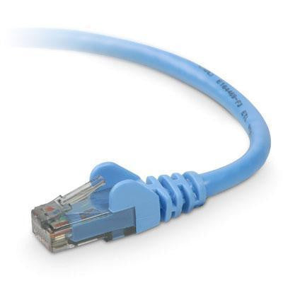 100' Cat 6 Patch Cable Blue