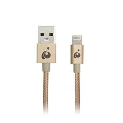 Reversible USB Lightning Gold