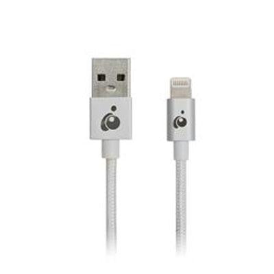 Reversible USB Lightning Silve