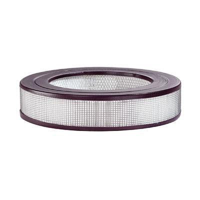 Hw Truehepa Replacement Filter