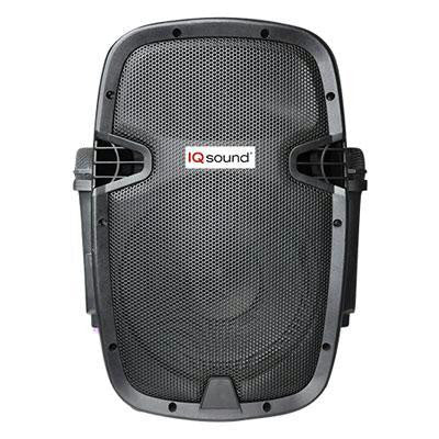 10" Portable Bluetooth DJ Speaker