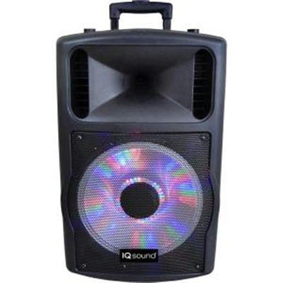 12" Portable Bluetooth Speaker