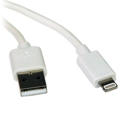 3ft Lightning To USB White