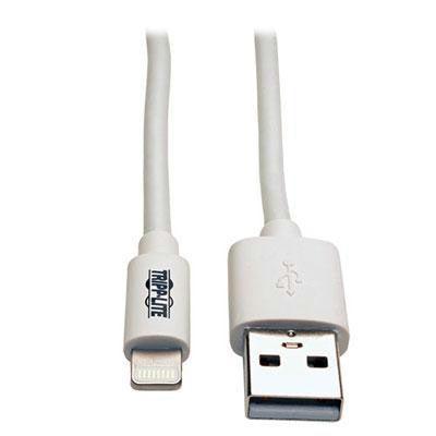 Lightning To USB 10' White