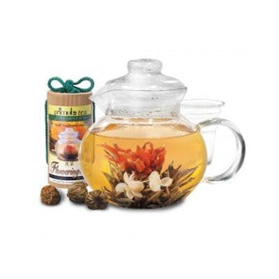 Primula Flowering Tea Pot Set