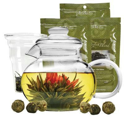 Primula Tea Experienc Gift Set